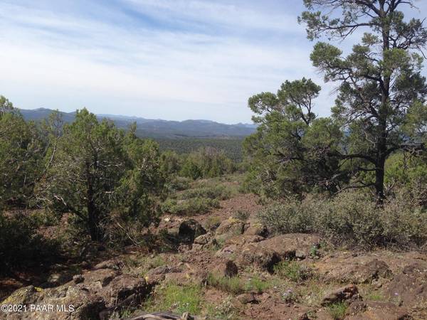 Kingman, AZ 86401,Lot 123 E Bob White RD