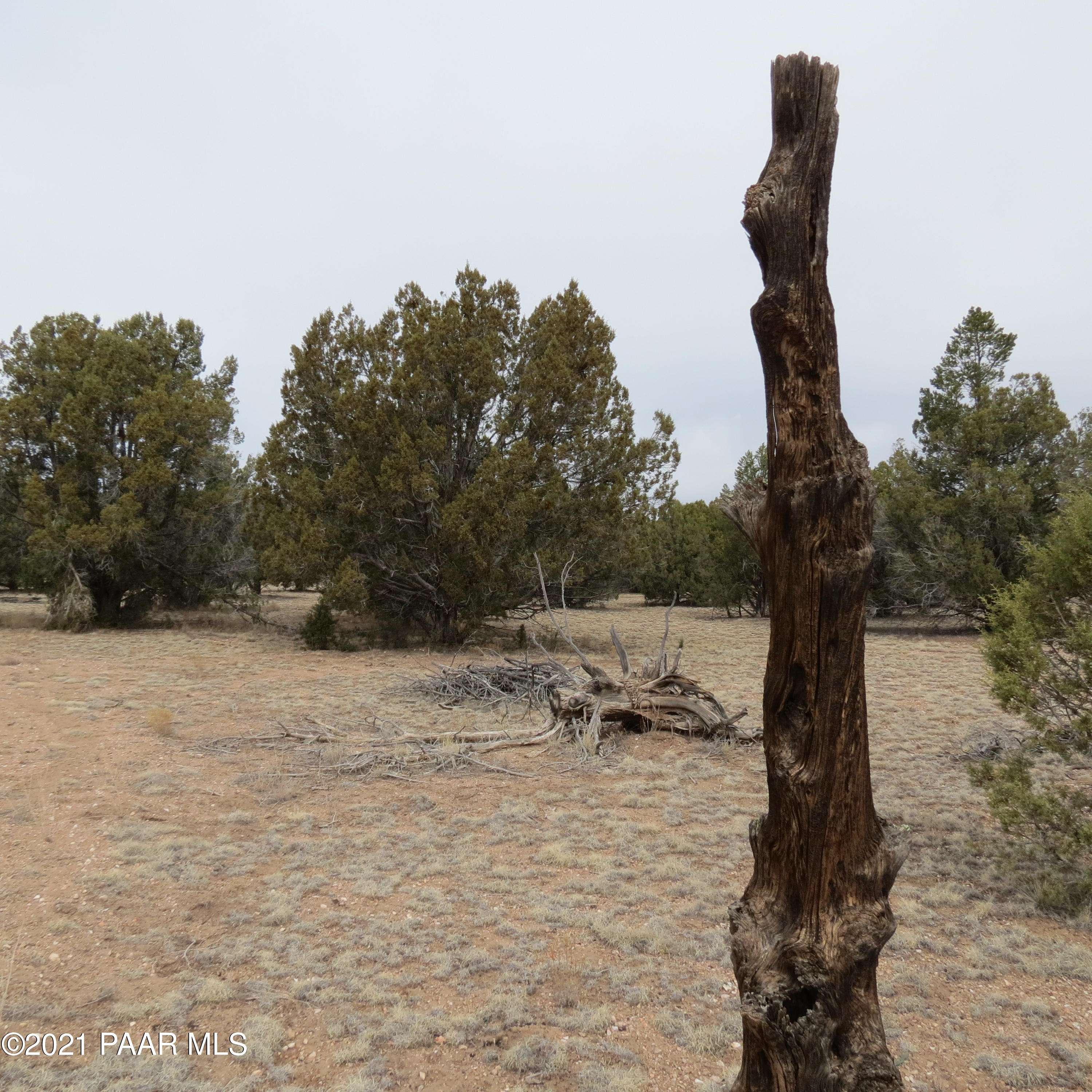 Seligman, AZ 86337,0 W Spotted Colt Road