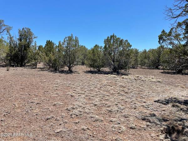 Seligman, AZ 86337,73 Acres Antelope Trail