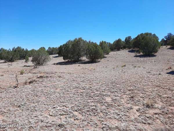 Seligman, AZ 86337,Lot 395 Antelope Valley Ranches