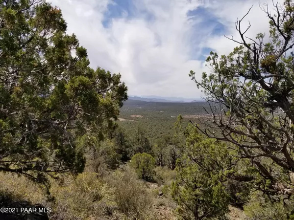 Kingman, AZ 86401,0 Diamond M Ranch Rd