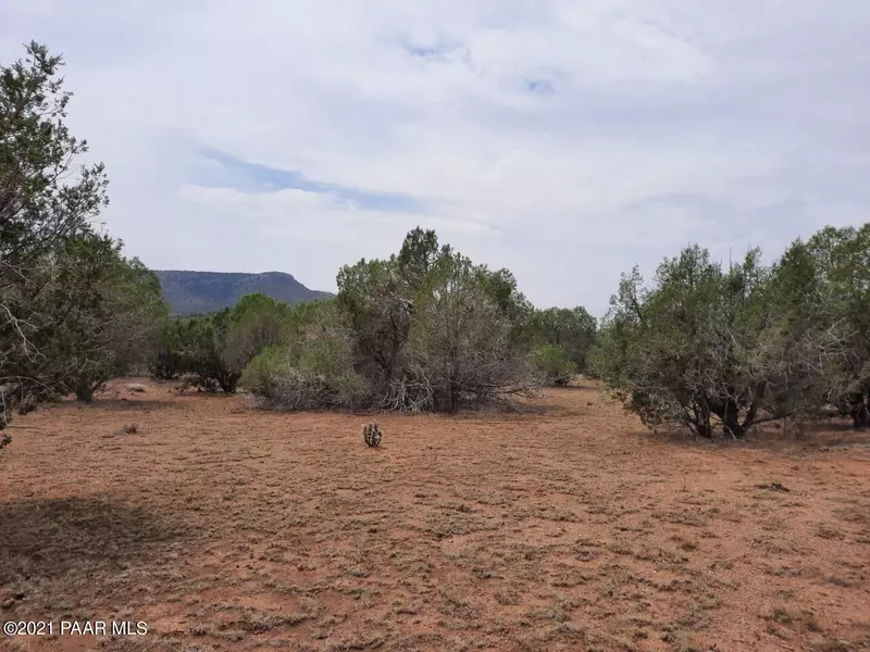 Lot 356 Sierra Verde Ranch, Seligman, AZ 86337