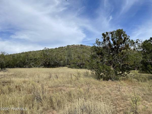 Seligman, AZ 86337,565 Sierra Verde Ranch