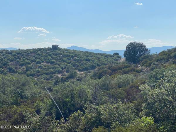 Dewey-humboldt, AZ 86327,Tbd Rattlesnake TRL