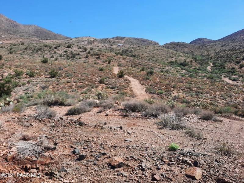 Lot 161 Silver Springs, Kingman, AZ 86401