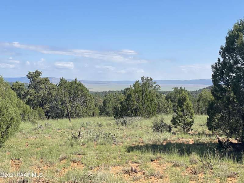 Lot 143 Antelope Run RD, Seligman, AZ 86337