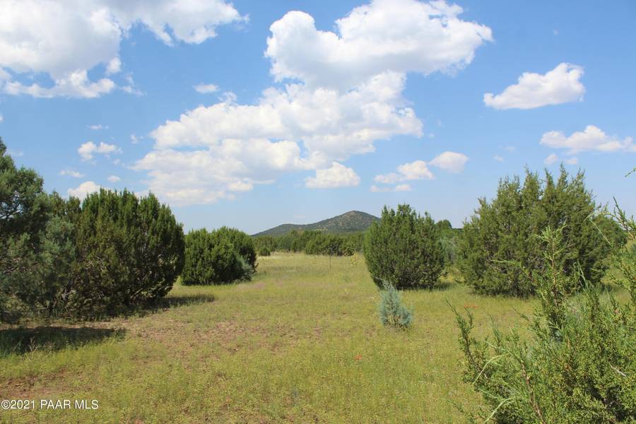 Lot 42 Cr 3167, Springerville, AZ 85938