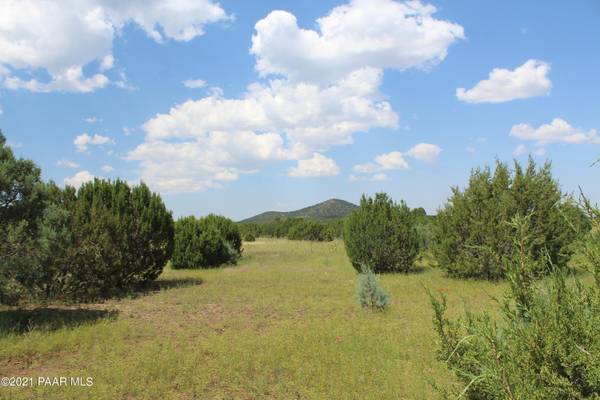 Springerville, AZ 85938,Lot 42 Cr 3167