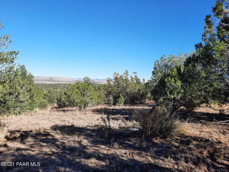 Lot 481 Sierra Verde Ranch, Seligman, AZ 86337