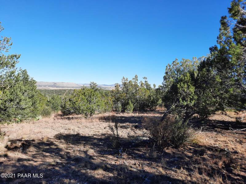 Lot 481 Sierra Verde Ranch, Seligman, AZ 86337