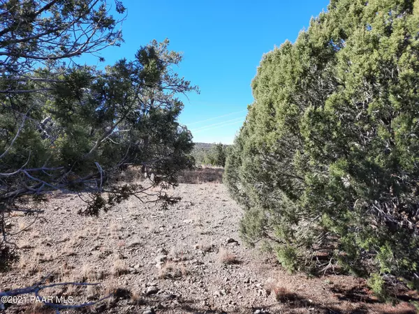 Seligman, AZ 86337,Lot 481 Sierra Verde Ranch