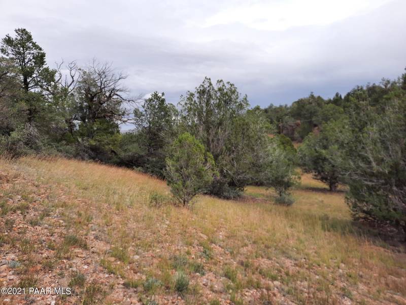 Lot 688 Off Ridge Runner Rd, Seligman, AZ 86337