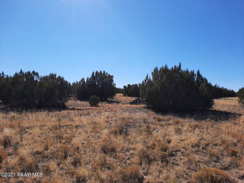 Lot 599 W Honey Bee Ln, Seligman, AZ 86337