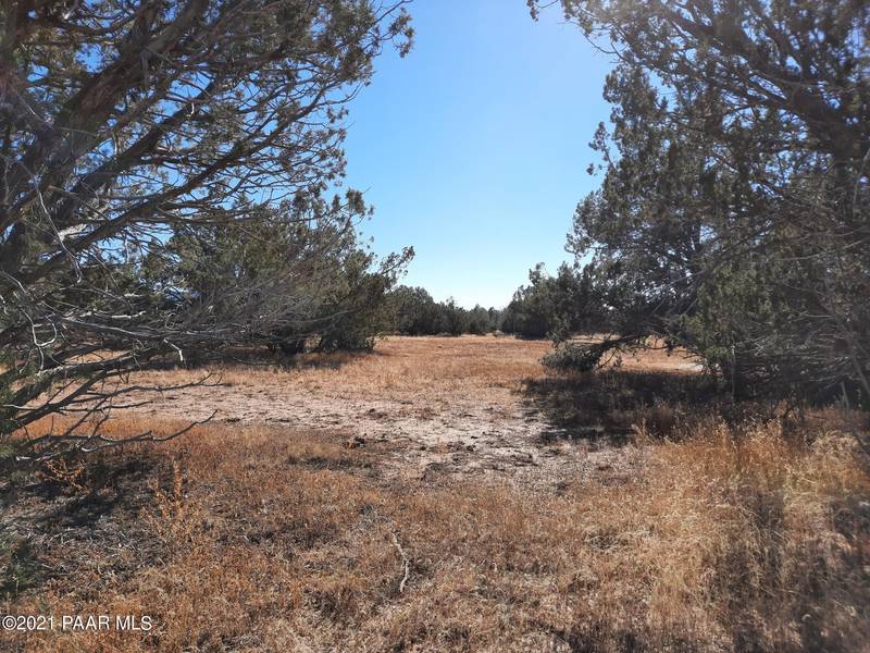 Lot 564 Calienta Winds Way, Seligman, AZ 86337