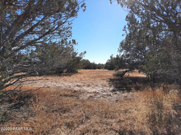 Seligman, AZ 86337,Lot 564 Calienta Winds Way