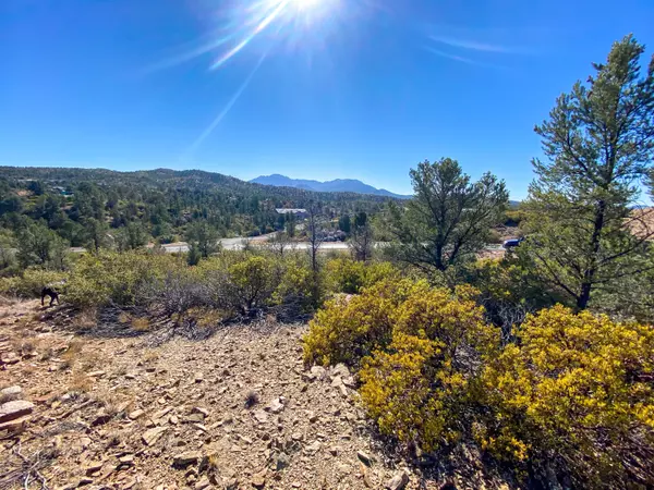 Prescott, AZ 86305,6110 Frederick (Lot 164) DR