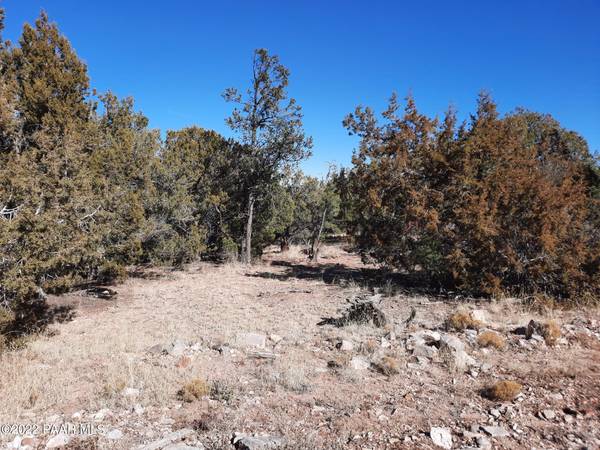 Seligman, AZ 86337,Lot 619abc N Sundance Way