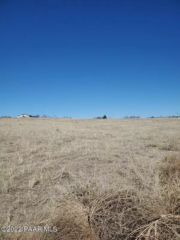 Chino Valley, AZ 86323,00 E Perkinsville RD