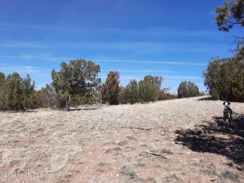 Lot 98 Bucks Rd, Seligman, AZ 86337