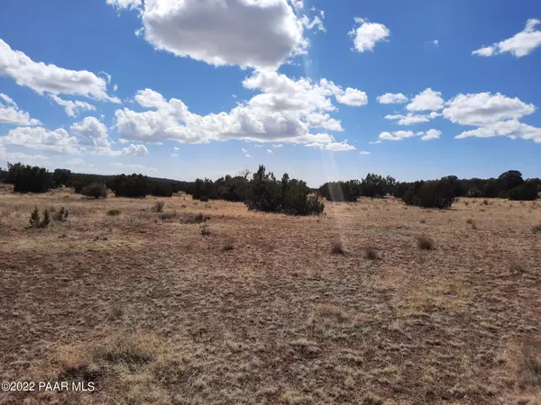 Seligman, AZ 86337,Lot 89 Antelope Valley Ranch