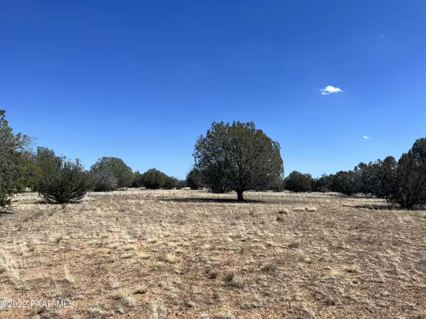 Ash Fork, AZ 86320,5 Off Of Ajo Jogger