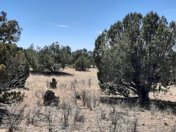 Seligman, AZ 86337,Lot 293 Antelope Valley Ranches