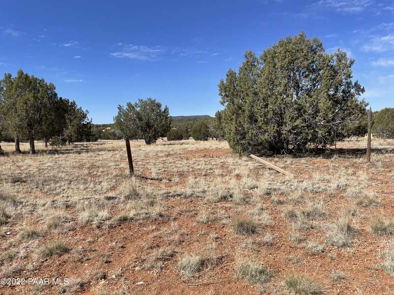 32103 W Ancho RD, Seligman, AZ 86337