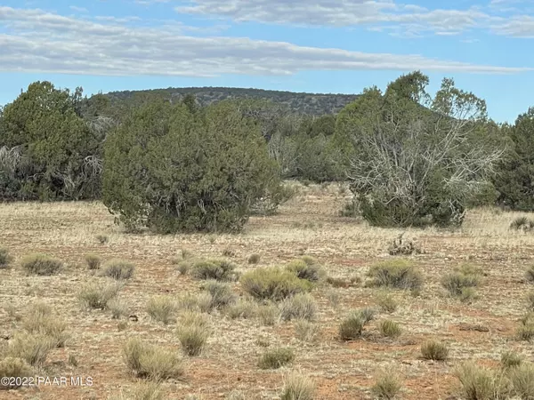 Seligman, AZ 86337,00 Via De Oro Pkwy