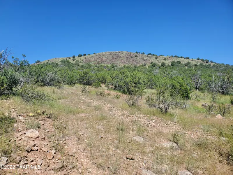 0 Flycatcher, Chino Valley, AZ 86323