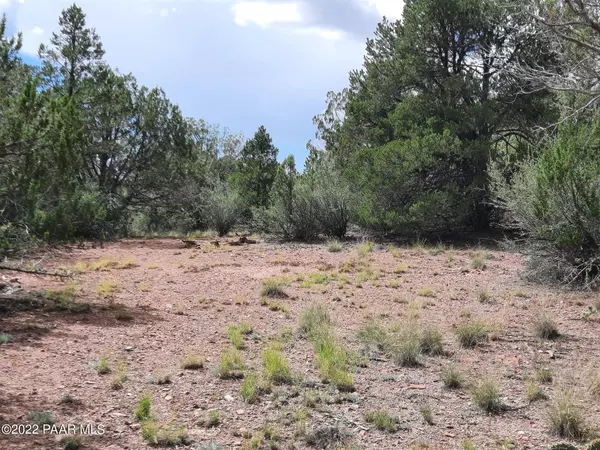 Seligman, AZ 86337,Lot 171 Forest Acres