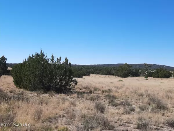 Seligman, AZ 86337,Lot 12 Antelope Valley Ranches