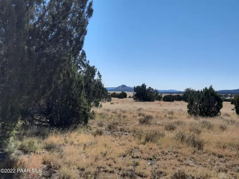 Lot 12 Antelope Valley Ranches, Seligman, AZ 86337