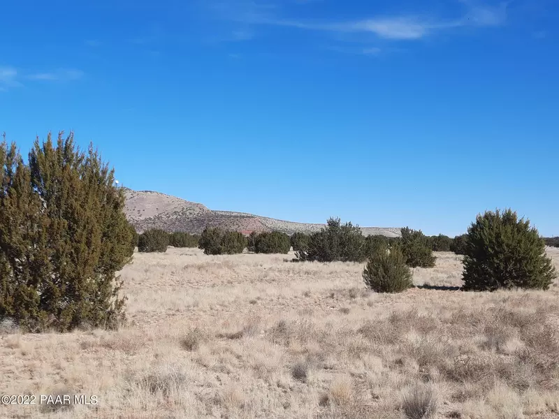 Lot 477 Fort Rock Rd, Seligman, AZ 86337