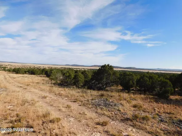 000 Colton TRL, Seligman, AZ 86337