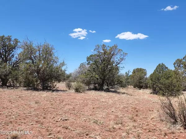 Ash Fork, AZ 86320,Lot 54 Juniperwood Ranch