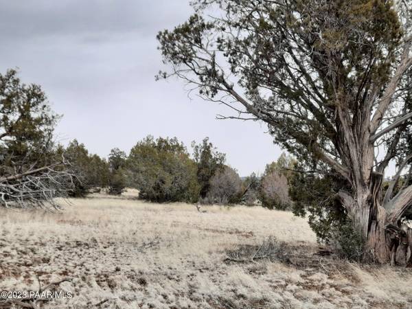 Seligman, AZ 86337,Lot 1217 Shadow Mountain Pkwy