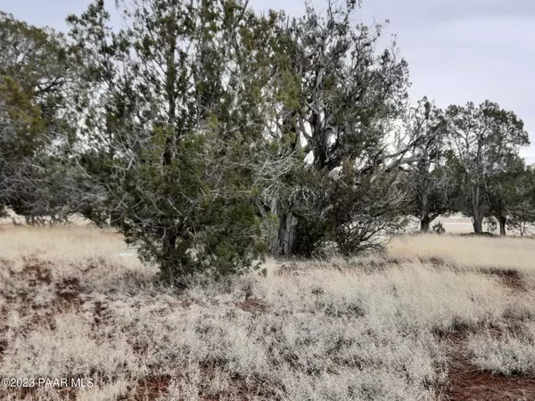 Seligman, AZ 86337,Lot 1217 Shadow Mountain Pkwy