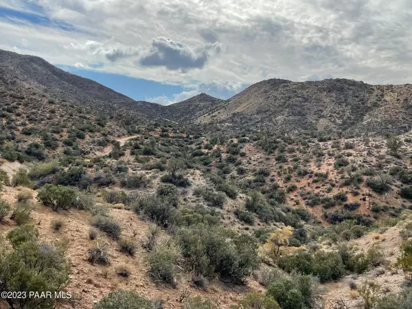 Kingman, AZ 86401,100ac S New Water Well