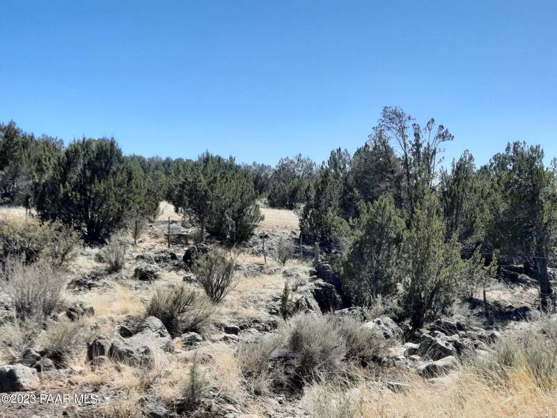 Lot 1380 Ponderosa Springs, Seligman, AZ 86337