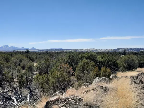 Seligman, AZ 86337,Lot 1341 W Elk Run