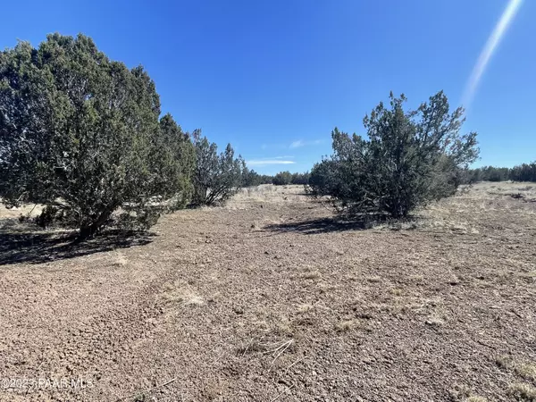 Ash Fork, AZ 86320,37a Juniperwood Ranch