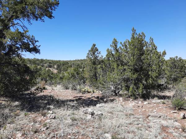 Seligman, AZ 86337,Lot 619d N Sundance WAY