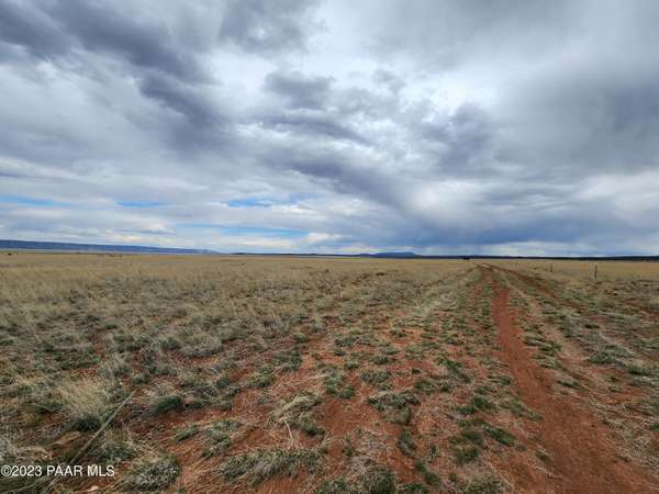 Seligman, AZ 86337,000 Lot 20 Antelope Valley Ranches