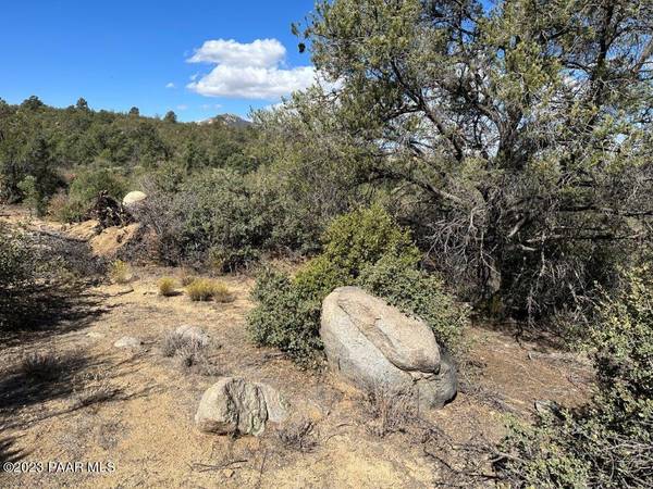 Peeples Valley, AZ 86332,17xxx S Pinon LN