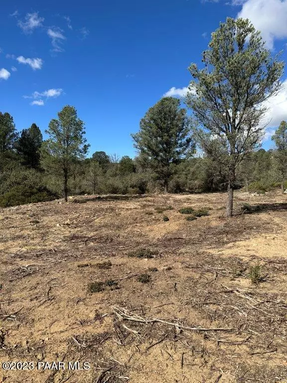 Peeples Valley, AZ 86332,17xxx S Pinon LN