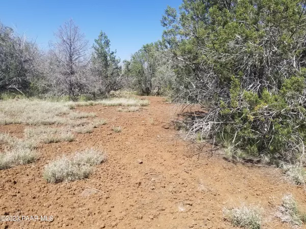 Lot 197a Indigo Way, 10acres, Ash Fork, AZ 86320