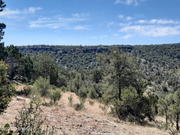 Seligman, AZ 86337,Lot 265 N Great Escape Way