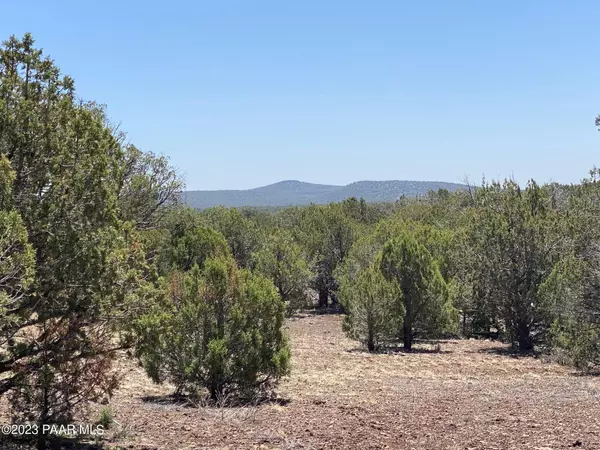 Williams, AZ 86046,Lot 392 Westwood Ranch