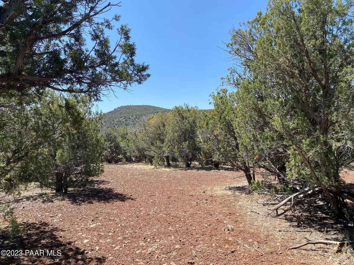 Williams, AZ 86046,Lot 392 Westwood Ranch