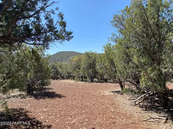 Williams, AZ 86046,Lot 392 Westwood Ranch